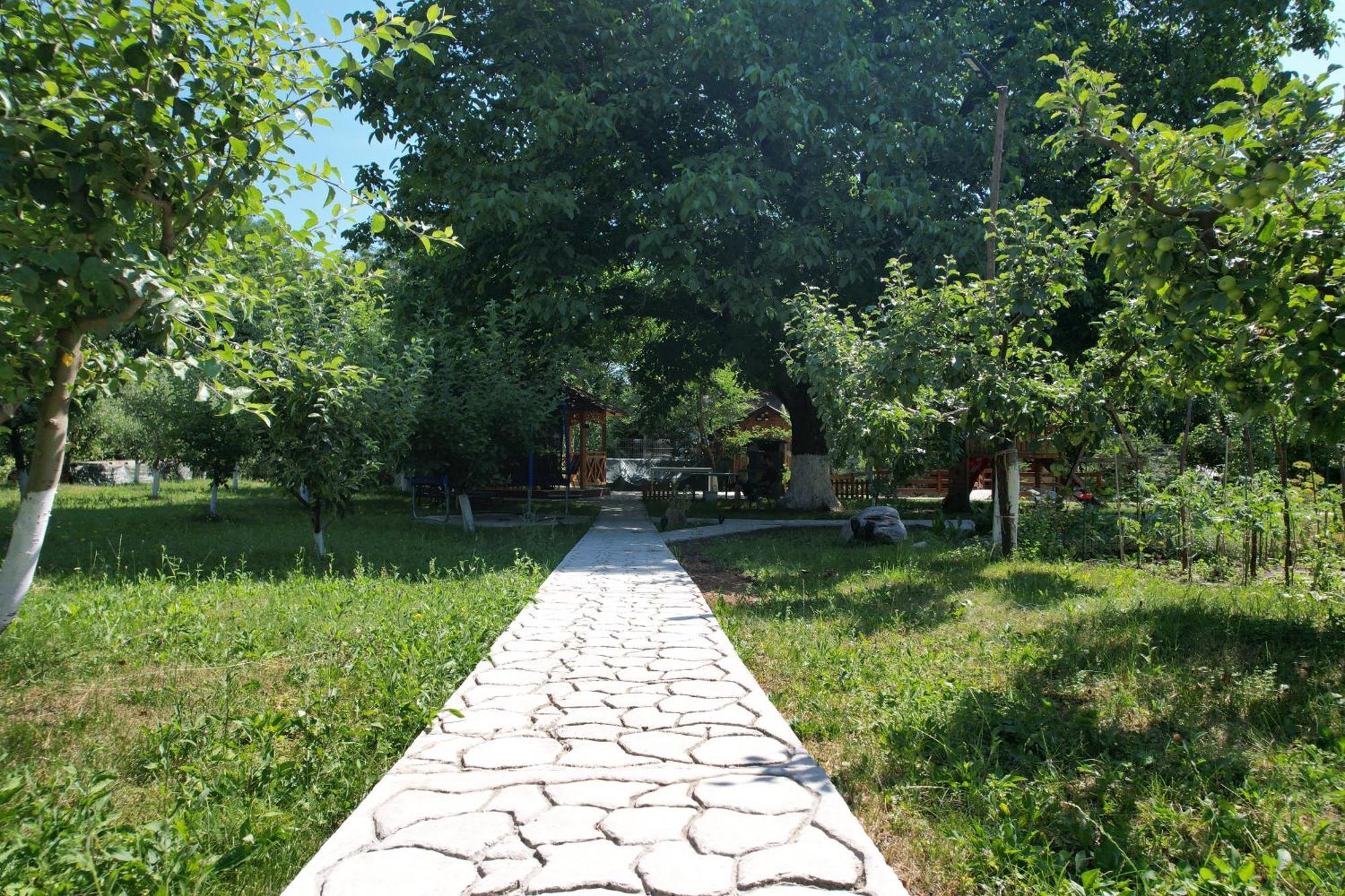 Casa Stefandra Hotel บราซา ภายนอก รูปภาพ